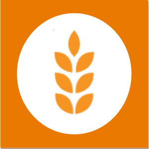 Team Page: OSI Group